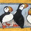 Puffin Lineup