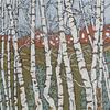 Aspen Screen