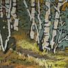 Aspens 1